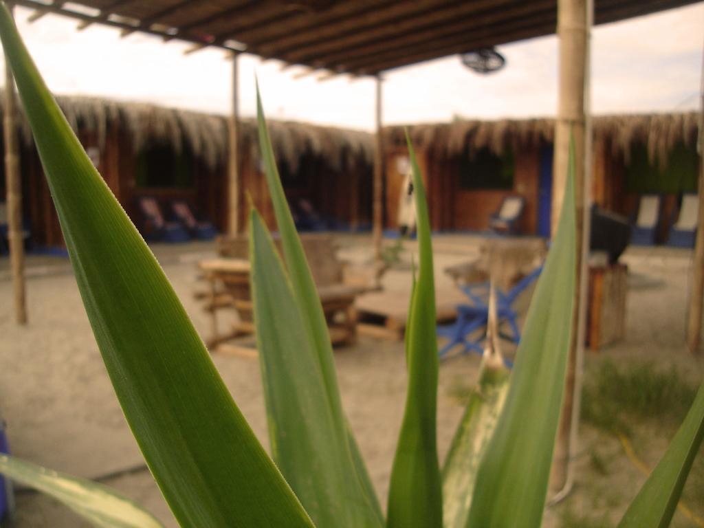 Hostel Psygon Surf Camp Máncora Exterior foto